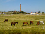 An der Nordsee